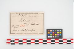 Etikett zu Bimetalldolch (NHMW-PRAE-025837)